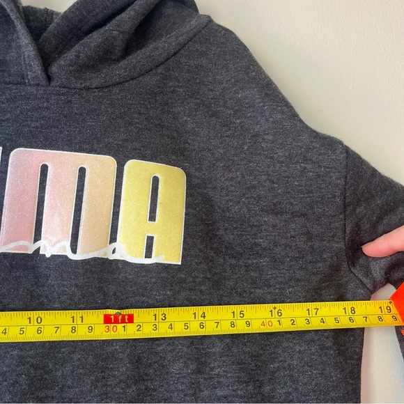 Puma Youth Girls Hoodie Sweatshirt L (12–14) Gray Rainbow Logo Pullover NWOT - Picture 6 of 11